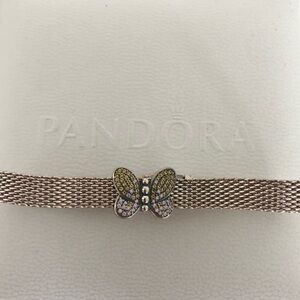 Retired Pandora Bracelet and Charm